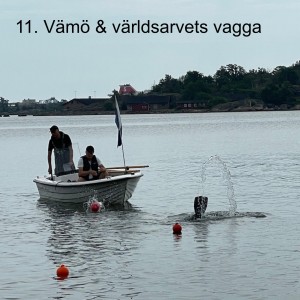 11. Vämö & världsarvets vagga