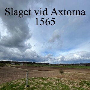 107.  Slaget vid Axtorna 1565