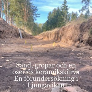 48. Sand, gropar och en oseriös keramikskärva - En förundersökning i Ljungaviken