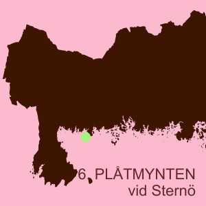 6. PLÅTMYNTEN vid Sternö