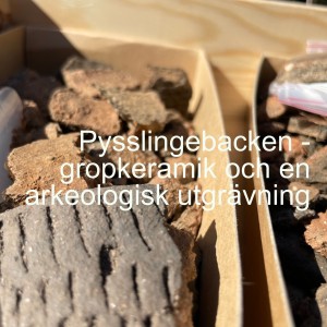 46. Pysslingebacken - gropkeramik och en arkeologisk utgrävning