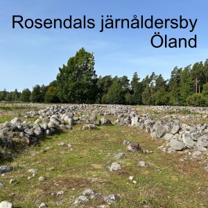 82. Rosendals järnåldersby Öland
