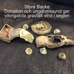45. Store Backe   Donation och ungdomssynd ger vikingatida gravfält vind i seglen