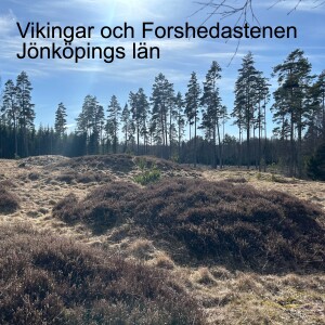 138. Vikingar och Forshedastenen i Jönköpings län