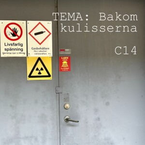 79. TEMA: Bakom kulisserna C14