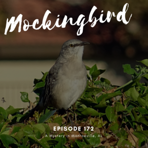 Episode 172 || Mockingbird