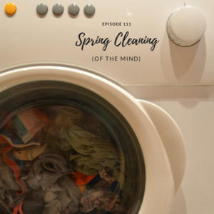 Episode 111 || Spring Cleaning (of the Mind)