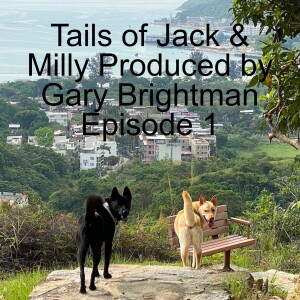 Tails of Jack and Milly - Episode 1 - ’The Tortoise & the Hare’