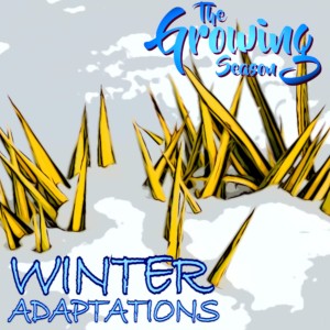 The Growing Season, Jan 16, 2021 - Winter Adaptations