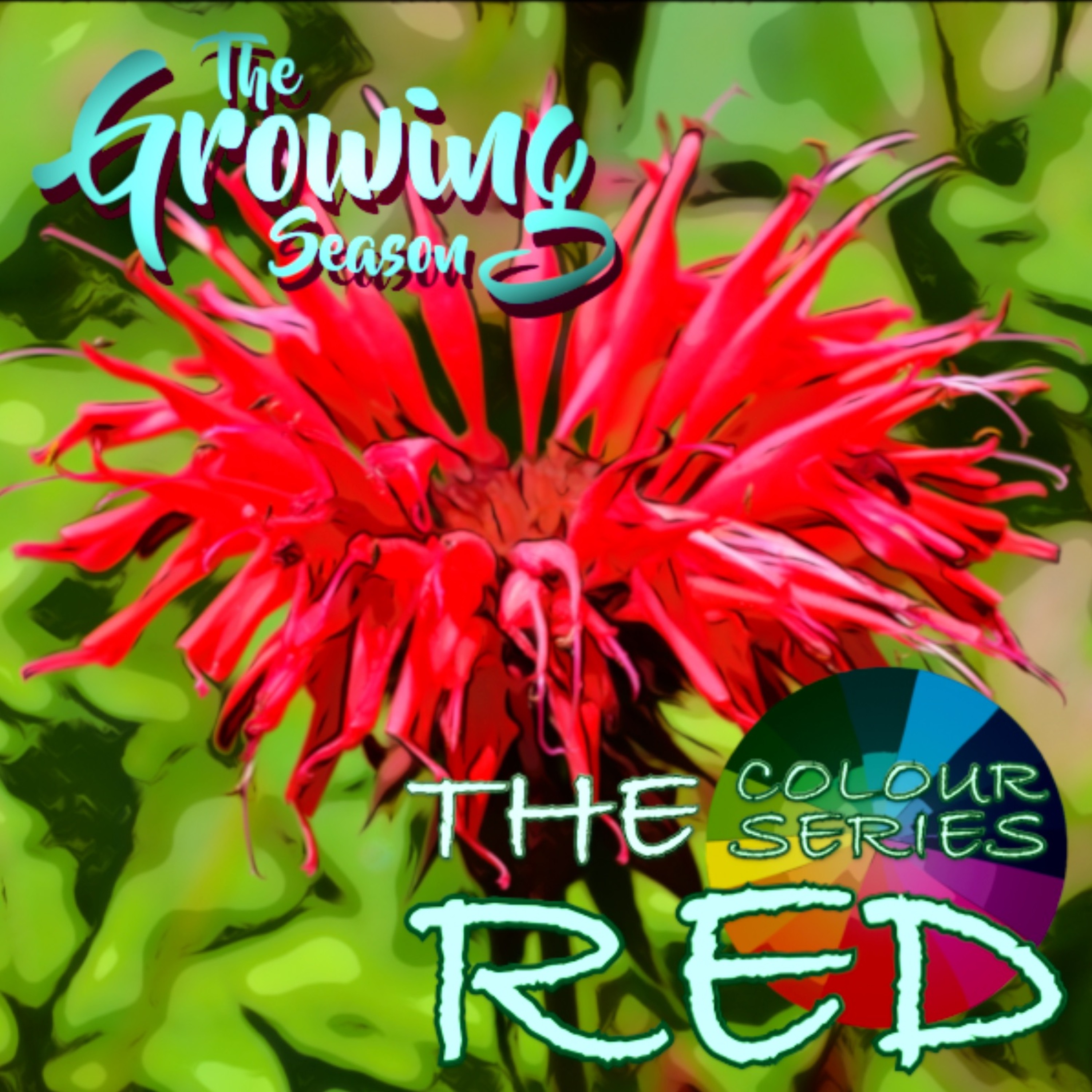The Growing Season, May 22, 2021 - The Colour Series - Red