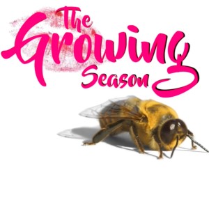 The Growing Season Oct. 7, 2019 - Lily Of The Valley, Hydrangea, Bees