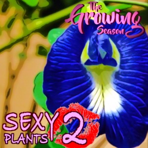 The Growing Season, Feb 13, 2021 - Sexy Plants 2