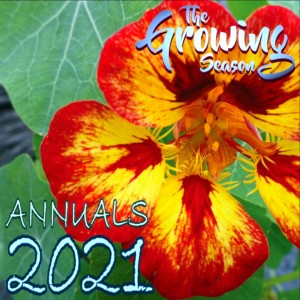 The Growing Season, June 5, 2021 - Annuals 2021