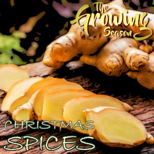 The Growing Season Dec 19, 2020 - Christmas Spices And Visitors