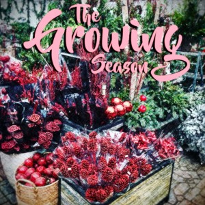 The Growing Season Dec 16, 2019 - Last Minute Visitors, Christmas At Glen Echo