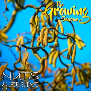The Growing Season Oct 17, 2020 - Nuts And Seeds