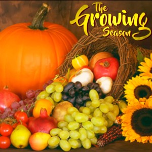 The Growing Season Oct. 10, 2020 - Thanksgiving And Horticulture