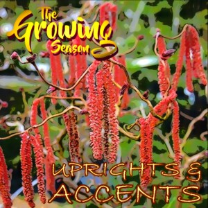 The Growing Season, April 24, 2021 - Uprights And Accents