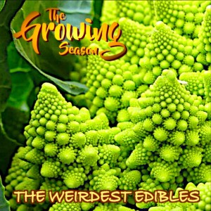 The Growing Season Feb 6, 2021 - The Weirdest Edibles