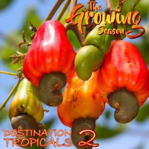 The Growing Season Jan 2, 2021 - Destination Tropicals 2