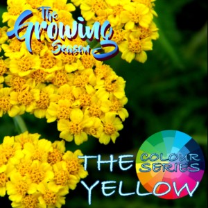 The Growing Season May 8, 2021 - Yellow