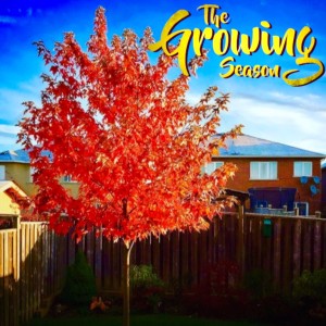 The Growing Season Oct. 3, 2020 - Fall Colour