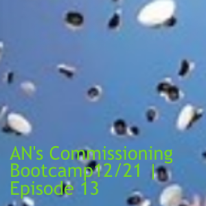 AN’s Commissioning Bootcamp  | Episode 22