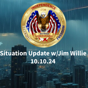 Situation Update w/ Jim Willie (10.10.24)