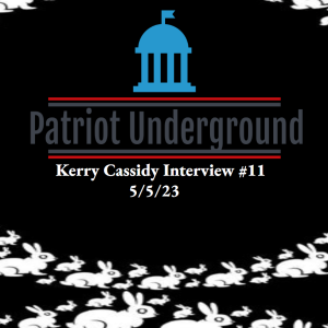 Kerry Cassidy Interview #11