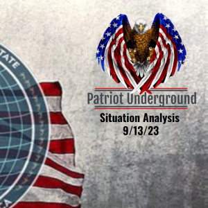 Patriot Underground Episode 339
