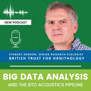 #22 - Big Data Analysis and the BTO Acoustics Pipeline: interview with lead scientist Stuart Newson