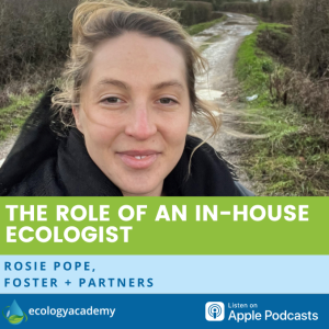 #33 - The Role of an In-house Ecologist: interview with Rosie Pope, Foster + Partners
