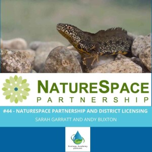 #44 - NatureSpace Partnership and District Licensing with Sarah Garratt and Andy Buxton
