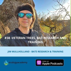 #38 -Veteran Trees, Bat Research and Training - Jim Mullholland