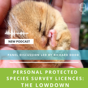 #18 - Personal Protected Species Survey Licences: The LOWDOWN