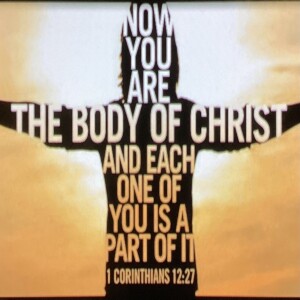 Body of Christ part 1. Col.1:13-18