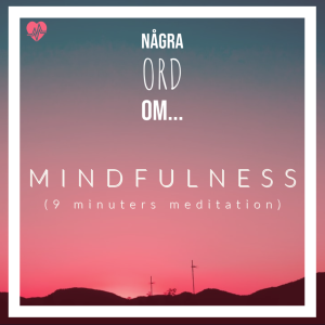 Bonus EP 1: Mindfulness (endast meditation)