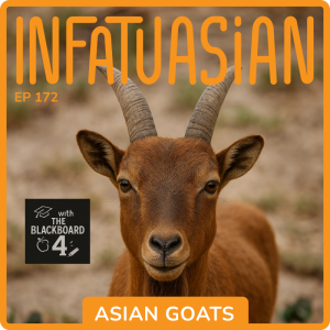 Ep 172 Asian Goats! Naming the greatest Asian things and people of all time! With the Blackboard 4!
