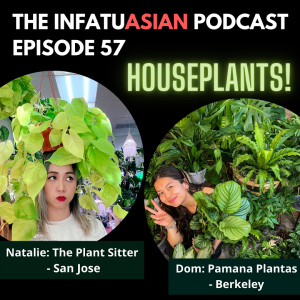 Ep 57 Houseplants! Talking With Dom and Natalie - Plant Shop Owners and Plant Lovers!