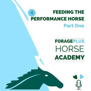 Feeding the Performance Horse - Part One