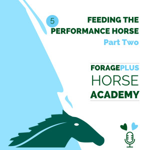 Feeding the Performance Horse - Part Two