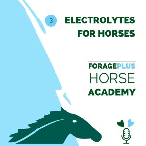 Electrolytes for Horses