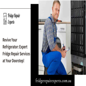 Stream How to Avoid Costly Fridge Repairs? Know from an Expert