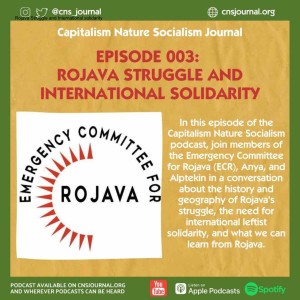 Ep 3: Rojava Struggle and International solidarity