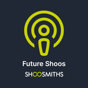 Future Shoos: Planning constraints