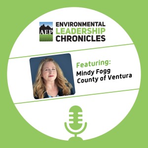 Leadership in the Public Sector ft. Mindy Fogg, County of Ventura