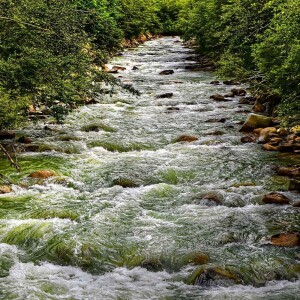 Gentle Stream Sounds | Relaxing Stream Sounds use for Relaxation, Sleep, insomnia - Relaxing Music