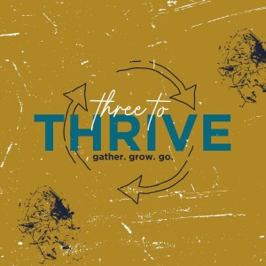 THREE TO THRIVE: Grow in Groups