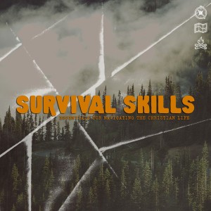 SURVIVAL SKILLS: How to Survive a Shipwrecked Life