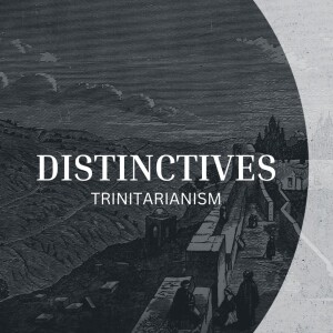 Distinctives: Trinitarianism